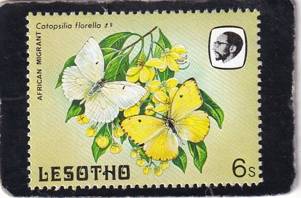 Lesotho   #   426   unused