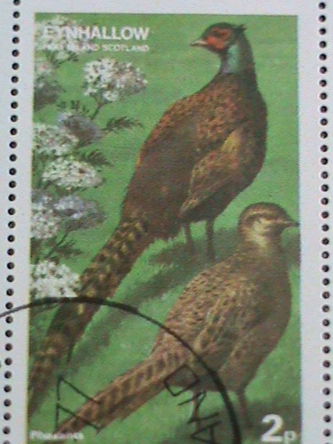 ​EYNHALLOW-SCOTLAND STAMP 1974 COLORFUL LOVELY WORLD BEAUTIFUL BIRDS-CTO-SHEET