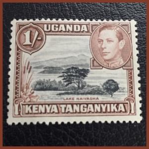 Kenya Uganda Tanganyika, 1938 1/- black & yellowish brown, SG 145, Pristine mint