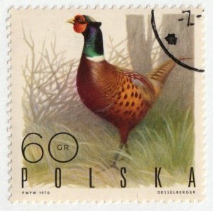 Poland      1721        used