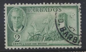 Barbados - Scott 217 - Sugar Cane -1950 - FU -  Single 2c Stamp