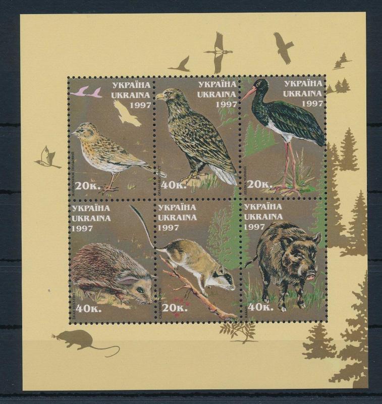 [34790] Ukraine 1997 Animals Birds Hedgehog Wild pig MNH Sheet