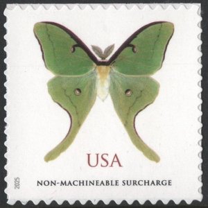 SC#6031 (Forever Non-machinable) Luna Moth Single (2025) SA