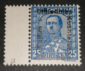 Albania 25q 1928 Michel 176 MNH