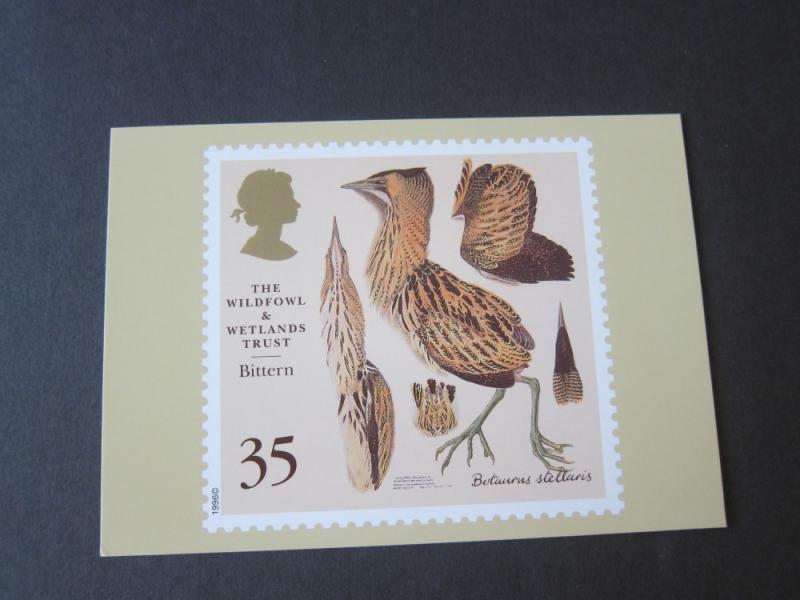 Great Britain 1996 Sc 1653-7 PC Bird set MNH