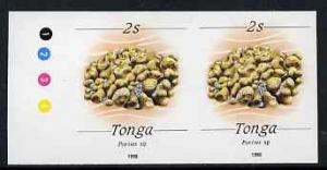 Tonga 1988-92 Porites Coral 2s (from redrawn Marine Life ...