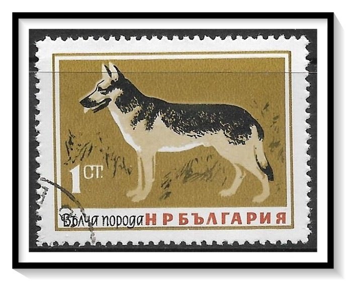 Bulgaria #1348 German Shepherd Dog CTO NH