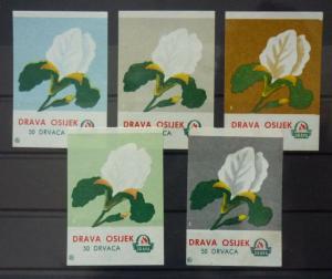 Match Box Labels! flora flower flowers nature osijek croatia yugoslavia GJ46