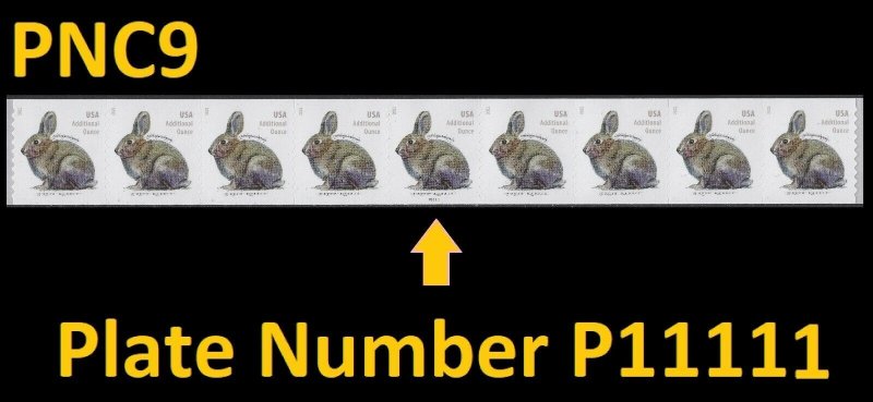 US 5545 Brush Rabbit additional ounce PNC9 P11111 MNH 2021 