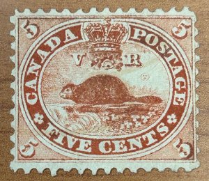 Canada #15 XF mint LH --- The beaver --