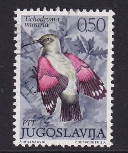 Yugoslavia   #1102  used 1972  birds 50p  wall creeper