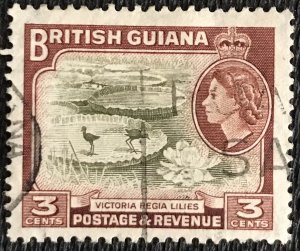 British Guiana #255 Used Single Victoria Regina Lillies L39