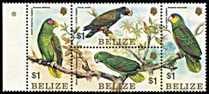 Belize 739, MNH, Parrots block of 4