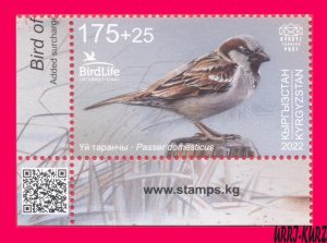 KYRGYZSTAN 2022-2023 Nature Fauna Bird of Year House Sparrow 1v Mi KEP 188 MNH