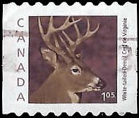 CANADA   # 1881 USED COIL (1)