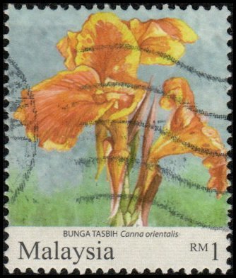 Malaysia 1313 - Used - 1r Oriental Canna (2010) (cv $0.80)
