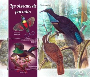 Togo - 2023 Bird-of-Paradise, Riflebird - Stamp Souvenir Sheet - TG230115b