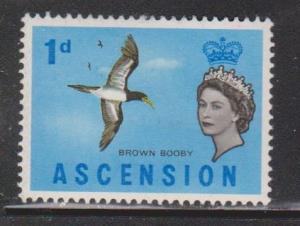 ASCENSION Scott # 75 MH - Bird - Brown Booby
