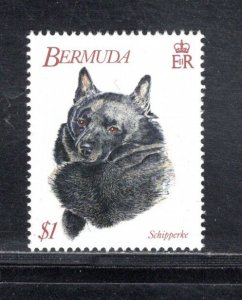 BERMUDA SC# 643  FVF/MNH