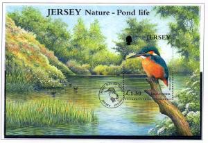 Jersey  Sc 995 2001 £1.50 Kingfisher stamp sheet used