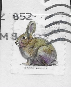 US #5544 used- on piece. Brush Rabbit. Winter Wonderland.  Great stamp.