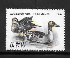 Russia  #6009 MNH Single