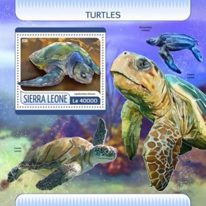 Sierra Leone - 2017 Turtles - Stamp Souvenir Sheet - SRL17604b