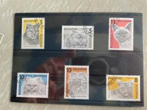 (FB21) BULGARIA 1989 : DIFFERENT CATS - VFU