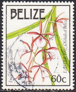 Belize #1104 Used