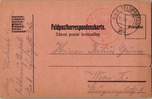 Austria Soldier's Free Mail 1916 K.u.K. Feldpostamt 203 Feldpostcard to Wien.