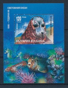 [30338] Bulgaria 1998 Marine life fish Monk seal Souvenir Sheet MNH