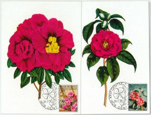 63430 - BELGIUM - POSTAL HISTORY: Set of 2 MAXIMUM CARD 1970 - FLOWERS-