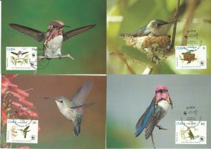 1992      SG:3734/37  - WWF HUMMINGBIRD 4 x MAXI CARDS 1st DAY CANCELLED 