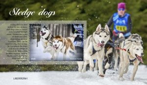 Liberia - 2020 Alaskan Husky Sledge Dog - Stamp Souvenir Sheet - LIB200525b1