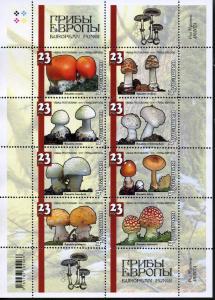 CHUVASHIA RUSSIA LOCAL SHEET MUSHROOMS 