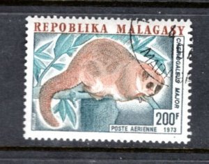 MALAGASY C118 Lemur