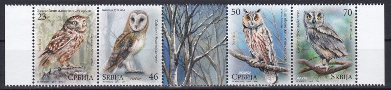 Serbia, Fauna, Birds, Owls / MNH / 2017