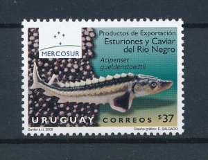 [111140] Uruguay 2009 Marine life fish Mercosur export  MNH