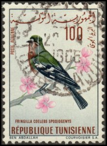 Tunisia C28 - Used - 100m Common Chaffinch (1965) (cv $1.05)