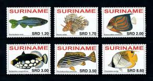 [100516] Suriname 2007 Marine Life Fish  MNH