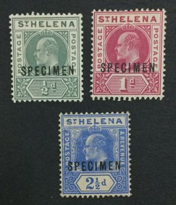 MOMEN: ST HELENA SG #53s-4s,64s 1902,1908-11 SPECIMEN UNUSED LOT #191501-615