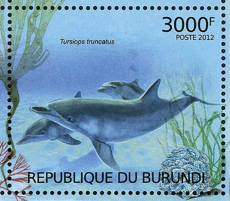 Dolphins Stamp Stenella Frontalis Tursiops Truncatus S/S MNH #2610-2613