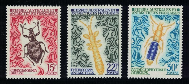 FSAT TAAF Insects 3v 2nd issue 1972 MNH SG#72=75 MI#71-73