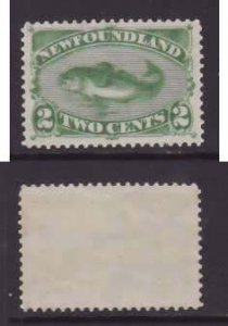 Newfoundland-Sc#46- id25-unused very very light hinge og 2c Codfish-1882-four