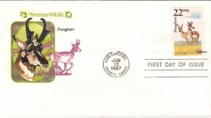 #2313 Pronghorn Farnam FDC