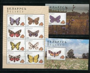 Belarus 138 - 140 Butterflies Complete Set of Stamp Sheets MNH 1996