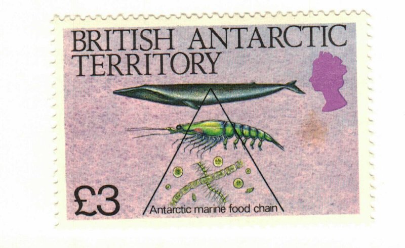 British Antarctic Territory #116 MH whale