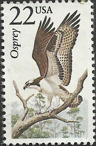 # 2291 USED OSPREY