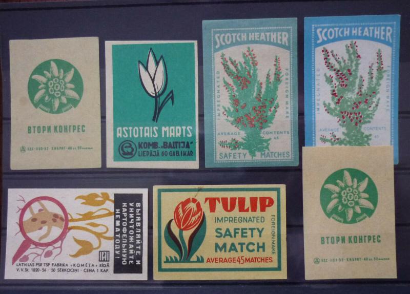 Match Box Labels! flora flower flowers nature russia GJ9