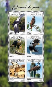 TOGO - 2025 - Birds of prey - Perf 6v Sheet - Mint Never Hinged